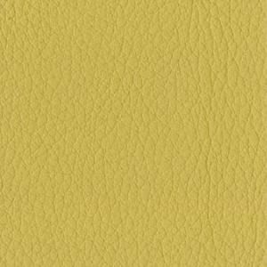 S_59 Giallo Senape – Mustard Yellow